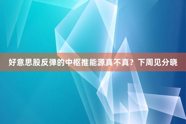 好意思股反弹的中枢推能源真不真？下周见分晓