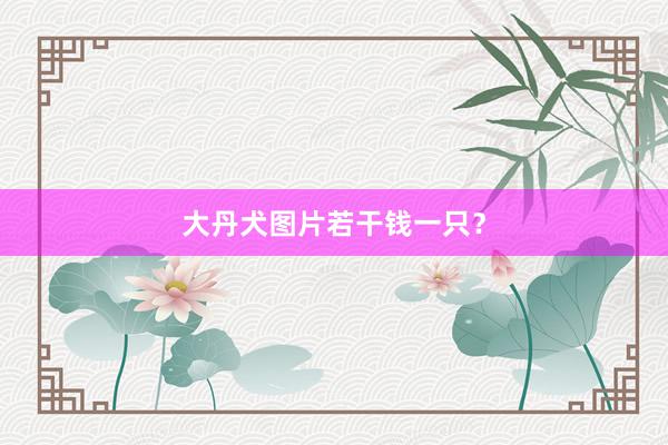 大丹犬图片若干钱一只？