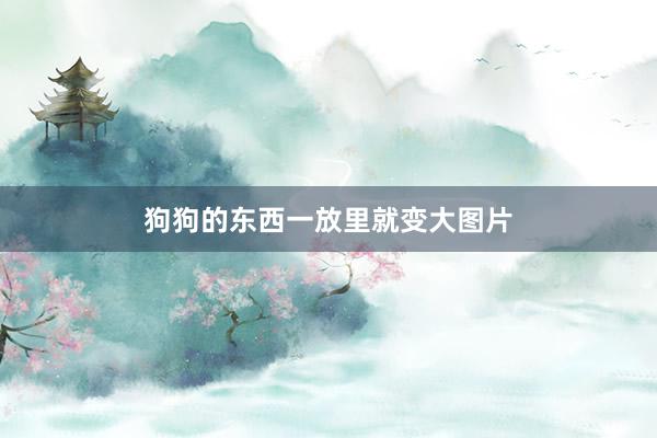 狗狗的东西一放里就变大图片