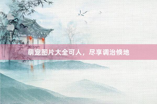 萌宠图片大全可人,尽享调治倏地