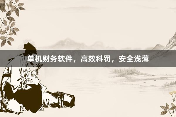 单机财务软件，高效科罚，安全浅薄